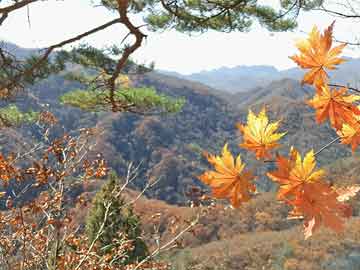 屋頂鋼鐵棚多少錢一平米？